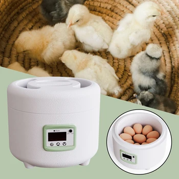 Skaitmeninis Mini Inkubatorius Putpelių Antis Paukštis Vištiena - 9 Kiaušiniai, Automatinė Ūkio Valdymas